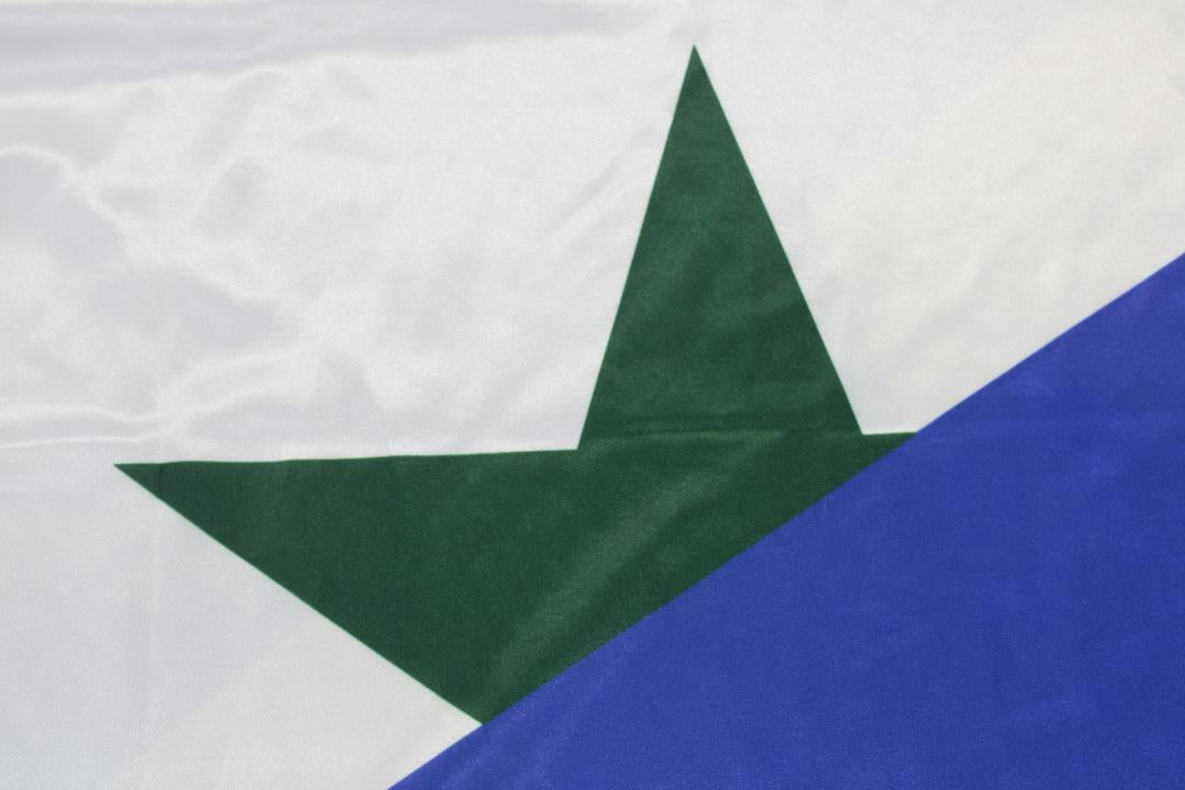 Camisa Retrô Brasil Tro Versão 93/94