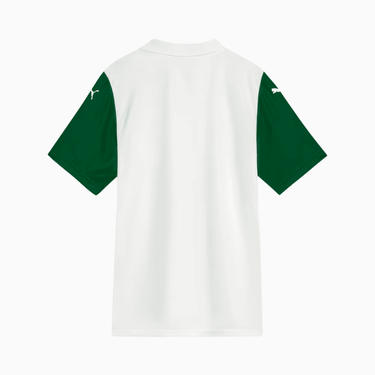 Camisa Puma Palmeiras 2025/26 II Torcedor